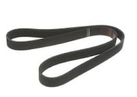V-belts & V-rib Belts