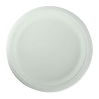 Union Bagasse 10 Inch Round Plates - Pack of 36 - Carton