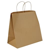Picture of Union 28 x 33 cm Twisted Handle Paper Bag, 12 Pieces - Pack of 12 - Carton