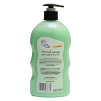 Picture of Hand Soap Green Apple and Aloe Vera Premium, 650ml - Carton of 12 Bottles