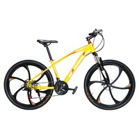 Flying Pigeon MTB Steel Frame Mountain Bicycle - 26 Inch