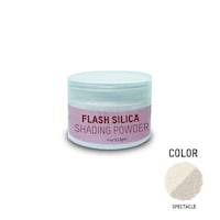 TNF Nail Flash Silica Shading Powder, Carton of 24Pieces