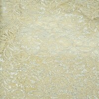 Picture of Lace Fabric with Silver Metallic Design Roll - 25 Yards