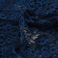 Picture of Two Tone Lace Fabric with Metallic Shine Roll - 25 Yards