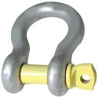 Picture of Wellworth Grade 80 Alloy Steel Screw Pin Type D Shackle