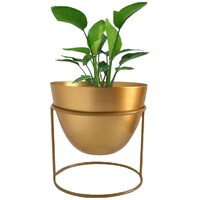 Picture of Ecofynd Alle Metal Plant Pot with Stand, 6 inch