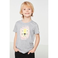 Trendyol Gray Printed Boy Knitted T-Shirt