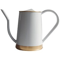 Ecofynd Metal Flower Watering Can with Spout, ‎EC18015, 2 litre