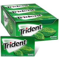 Trident Spearmint Chewing Gum, Carton of 12 Boxes