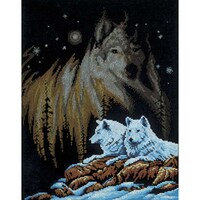 Picture of Janlynn Counted Cross Stitch Kit, 11"X14", Northern Lights