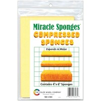 Color Wheel Miracle Sponges, 4x6"