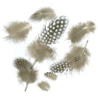 Zucker-Guinea Plumage Feathers, .04oz, Natural