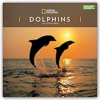 Picture of DOLPHINS NATIONAL GEOGRAPHIC SQUARE WALL