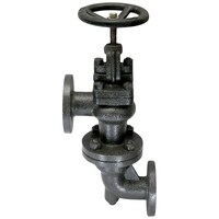 Picture of SANT Cast Iron Accessable Feed Check Valve, CI-5D, Black