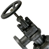 Picture of SANT Cast Iron Accessable Feed Check Valve, CI-5B, Black