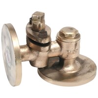 Picture of SANT Bronze Combined Feed Check Valve, IBR-7, Gold
