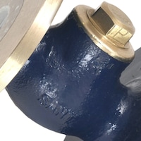 Picture of SANT Gun Metal Horizontal Lift Check Valve, IS-15, Gold
