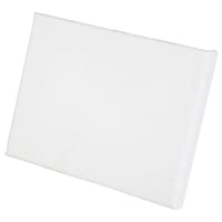 Picture of Camel Platic Stretched Canvas, White