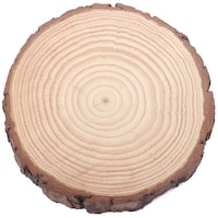 T One Woods Natural Bark Wooden Circles, 4 inches, Set of 12 Pieces