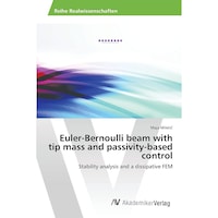 Euler-Bernoulli beam with tip mass and passivity-based control