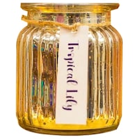 Khatte Meethe Desires Vintage Lily Scented Candles Wax Jar