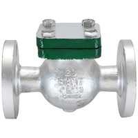 Picture of SANT Cast Steel Swing Check Valve, CS-8, Silver