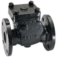 Picture of SANT Cast Iron Swing Check Type Reflux Valve, CR-31A, Black
