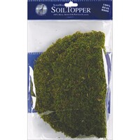 Picture of Supermoss Super Moss Moss Pot Toppers, 10in, Pack of 3 - Green