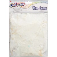 Picture of Craft for Kids Flat Turkey Feathers, 14g, White
