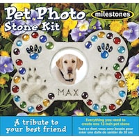 Picture of Milestones Mosaic Stepping Stone Kit - Pet Photo
