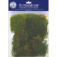 Picture of Supermosssheet Moss, 2 Ounces, Green