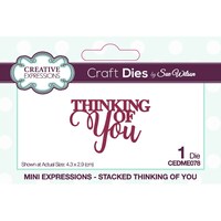 Picture of Creative Expressions Craft Dies, Mini Expressions Thinking of You