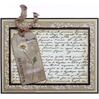 Picture of Creative Expressions A5 Clear Stamp Set By Sam Poole