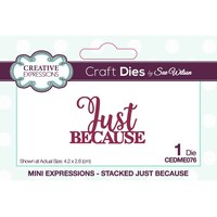 Picture of Creative Expressions Craft Dies, Mini Expressions Just Because
