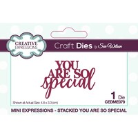 Picture of Creative Expressions Craft Dies, Mini Expressions You Are So Speci
