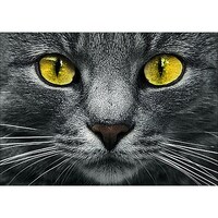 Picture of D'Art Diamond Embroidery Gem Kit, 10.6x7.5in, Yellow Eyes