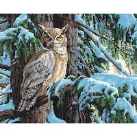 Picture of Dimensions Great Horned Owl Paint Works Kit, 20X16 In