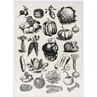 Picture of Dress My Craft Transfer Me Sheet, A4, Vintage Vegetables No.1