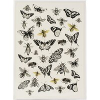 Picture of Dress My Craft Transfer Me Sheet, A4, Bees & Flies