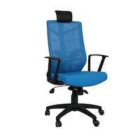 Picture of Exotic Chairs Moveable Highback Executive Chair with Cushion, Blue & Black