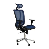 Picture of Exotic Chairs Highback Executive Chair with Double Mesh, Black & Blue