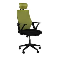 Picture of Exotic Chairs Highback Executive Chair, Green & Black