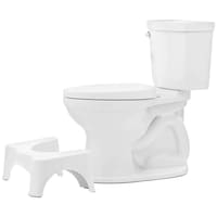 Picture of Xipra Dr's Advise Squat Potty Step Stool, White, 42x26x17cm