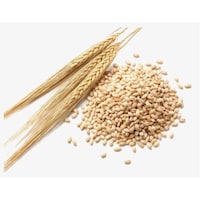 El Smou Healthy & Tasty Barley Grain