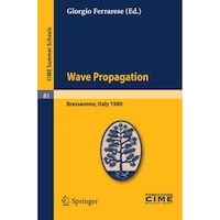 C.I.M.E. Summer Schools Wave Propagation (English, French & Italian Edition)
