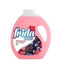 Picture of Frida Hands Liquid Handwash, Wild Berries, 2L - Carton of 6 Pcs