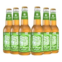 Picture of Coolberg Malt Beverage Mint Flavour, 330ml