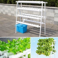 Hylan Huge Hydroponic Planting System for Vegetables, 72 Pot, Large