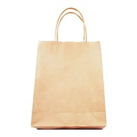 A4 Size Kraft Paper Bag, Pack of 10pcs