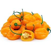 Fresh Habenero Peppers, 4kg, Yellow, 508 Pieces - Carton